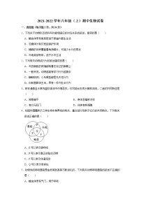 湖北省麻城市2021-2022学年八年级上学期期中考试生物试题（word版 含答案）