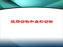 腔肠动物和扁形动物PPT课件免费下载