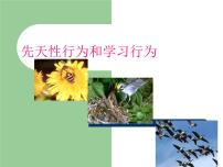 初中生物冀教版八年级上册第二节  根对水分的吸收课堂教学ppt课件