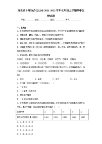 湖北省十堰市丹江口市2021-2022学年七年级上学期期中生物试题（word版 含答案）