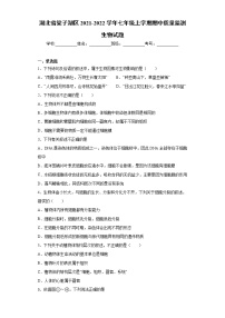 湖北省梁子湖区2021-2022学年七年级上学期期中质量监测生物试题（word版 含答案）