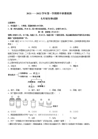 山东省潍坊安丘市、高密市2021-2022学年七年级上学期期中生物试题（word版 含答案）