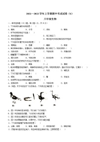 河南省漯河市舞阳县2021-2022学年八年级上学期期中生物试题（word版 含答案）