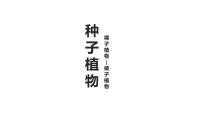 生物七年级上册第二节 种子植物图片ppt课件