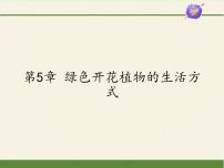 北师大版七年级上册第三单元  生物圈中的绿色植物第7章  绿色植物与生物圈第1节  绿色植物在生物圈中的作用课前预习课件ppt