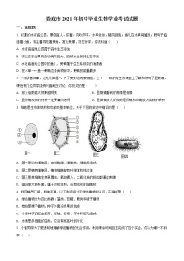 2021年湖南省娄底市中考生物试题（原卷+解析）