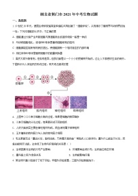 2021年湖北省荆门市中考生物试题（原卷版）