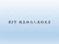 生物八年级上册第2节 微生物与人类的关系图文课件ppt