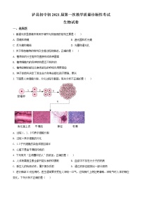 精品解析：2021年四川省泸州市泸县中考一模生物试题