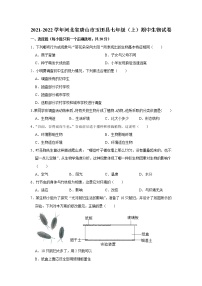 河北省唐山市玉田县2021-2022学年上学期期中七年级生物试卷（word版 含答案）