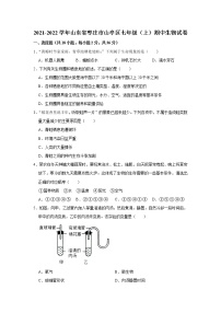 山东省枣庄市山亭区2021-2022学年上学期七年级期中生物试卷（word版 含答案）