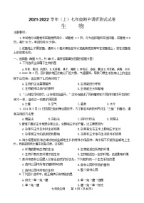 河南省焦作市中站区2021-2022学年上学期七年级期中调研测试生物试卷（word版 含答案）