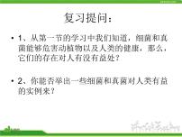 人类对细菌和真菌的利用PPT课件免费下载