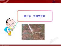 人教版 (新课标)八年级下册第五节 生物的变异多媒体教学ppt课件