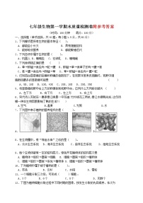 新人教版七年级生物上期末考试卷及答案