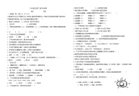 八年级生物下册期中测试卷及答案 (3)