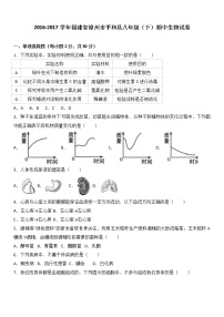 福建省漳州市平和县2016-2017学年八年级（下）期中生物试卷（解析版）