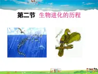 初中人教版 (新课标)第二节 生物进化的历程课堂教学ppt课件