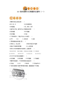 人教版 (新课标)七年级上册第三章 绿色植物与生物圈的水循环同步达标检测题