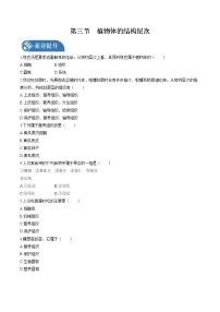 初中生物人教版 (新课标)七年级上册第三节 植物体的结构层次课堂检测