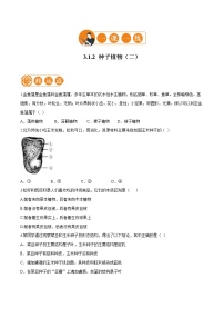初中生物人教版 (新课标)七年级上册第三单元 生物圈中的绿色植物第一章 生物圈中有哪些绿色植物第二节 种子植物达标测试