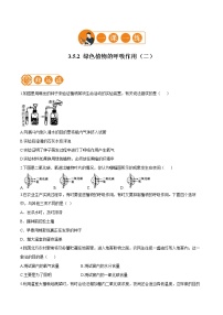 生物七年级上册第三单元 生物圈中的绿色植物第五章 绿色植物与生物圈中的碳—氧平衡第二节 绿色植物的呼吸作用课后练习题