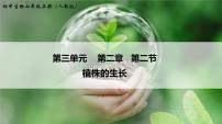 人教版 (新课标)七年级上册第二节 植株的生长教案配套课件ppt