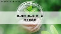 人教版 (新课标)七年级上册第一节 种子的萌发备课课件ppt