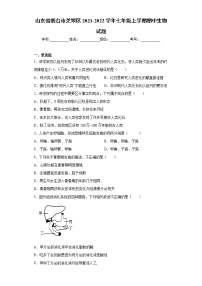 山东省烟台市芝罘区2021-2022学年七年级上学期期中生物试题(word版含答案)