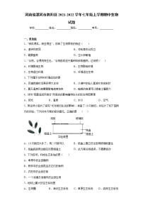 河南省漯河市舞阳县2021-2022学年七年级上学期期中生物试题(word版含答案)