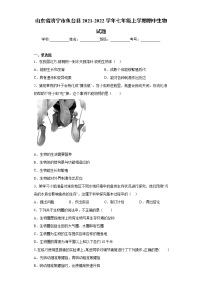 山东省济宁市鱼台县2021-2022学年七年级上学期期中生物试题(word版含答案)