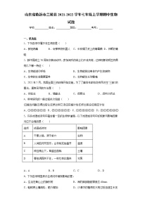 山东省临沂市兰陵县2021-2022学年七年级上学期期中生物试题(word版含答案)