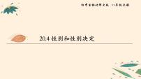 北师大版八年级上册第六单元 生命的延续第20章 生物的遗传和变异第4节 性别和性别决定课文课件ppt