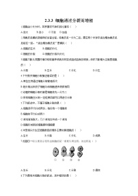 北师大版七年级上册第二单元 生物体的结构第3章 细胞第3节 细胞通过分裂而增殖课后测评