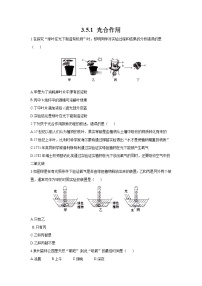 初中生物北师大版七年级上册第1节  光合作用测试题