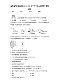 山东省菏泽市成武县2021-2022学年九年级上学期期中生物试题（word版 含答案）