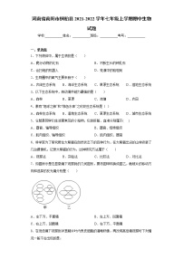 河南省南阳市桐柏县2021-2022学年七年级上学期期中生物试题（word版 含答案）