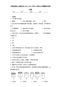 河南省周口市鹿邑县2021-2022学年七年级上学期期中生物试题（word版 含答案）