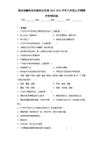 湖北省襄阳市谷城县石花镇2021-2022学年八年级上学期期中生物试题（word版 含答案）