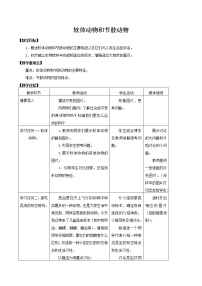 初中生物鲁科版 (五四制)八年级上册第三节 软体动物和节肢动物教案