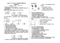 辽宁省盘锦市大洼区2020-2021学年八年级下学期期中质量检测生物试题（word版 含答案）