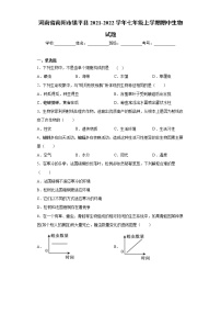 河南省南阳市镇平县2021-2022学年七年级上学期期中生物试题（word版 含答案）