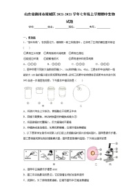 山东省德州市陵城区2021-2021学年七年级上学期期中生物试题（word版 含答案）