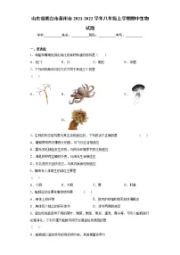 山东省烟台市莱州市2021-2022学年八年级上学期期中生物试题(word版 含答案)