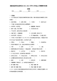 湖南省邵阳市邵阳县2021-2022学年七年级上学期期中生物试题（word版 含答案）