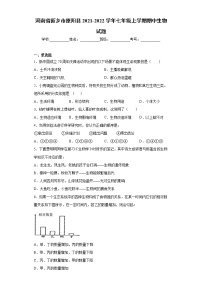 河南省新乡市原阳县2021-2022学年七年级上学期期中生物试题（word版 含答案）