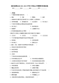 湖北省黄石市2021-2022学年八年级上学期期中生物试题（word版 含答案）