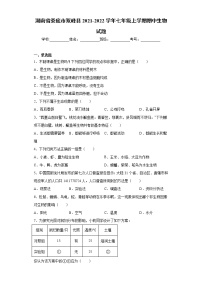 湖南省娄底市双峰县2021-2022学年七年级上学期期中生物试题（word版 含答案）