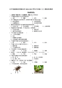 辽宁省盘锦市兴隆台区2020-2021学年八年级上学期期末生物试题（word版 含答案）