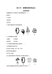 2021学年第三节 植物体的结构层次课时练习